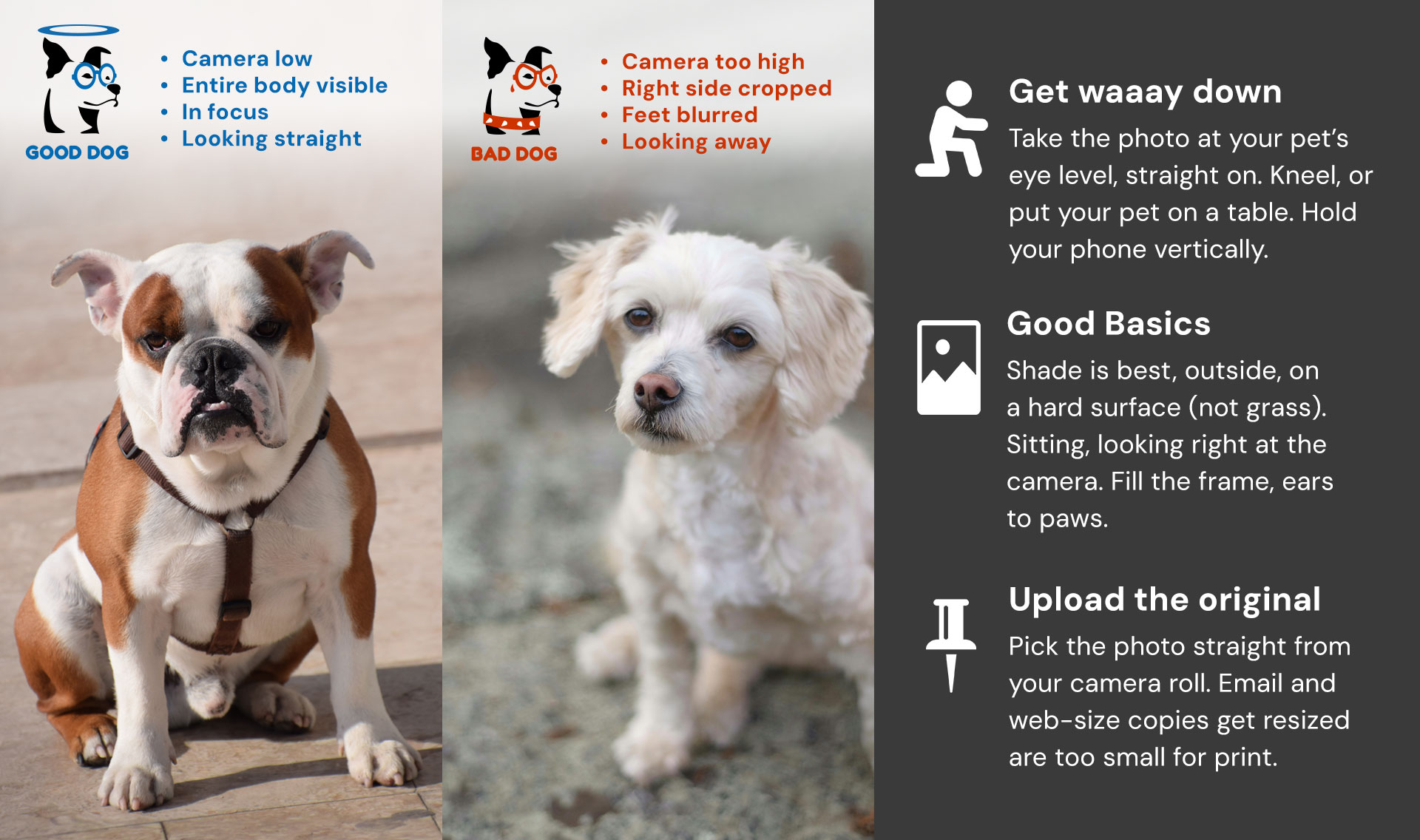 How to take a good photo for Togaroo