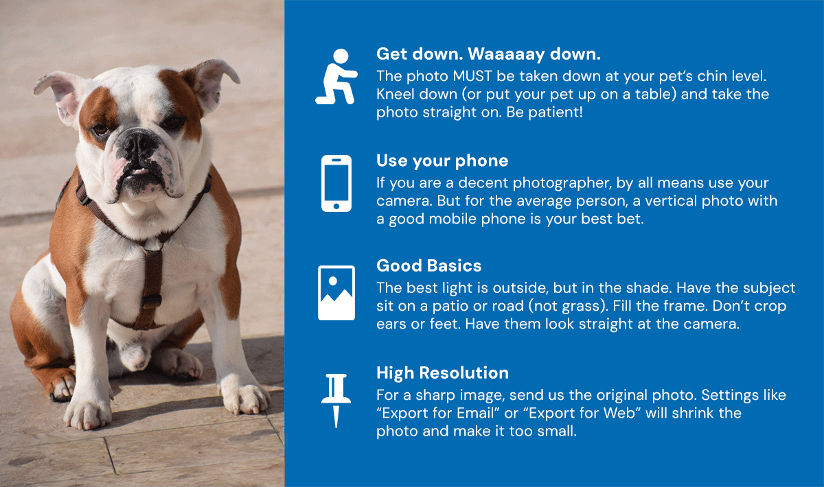 How to take a good photo for ClingKit