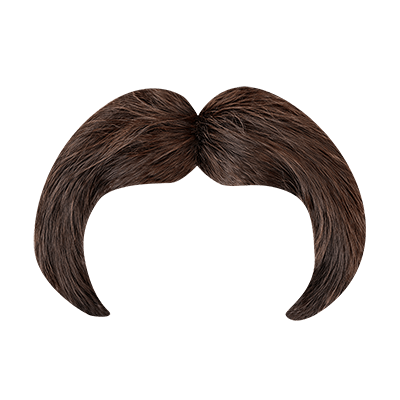 Horseshoe Mustache