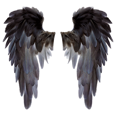 Wings Black