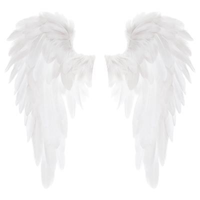 Wings White