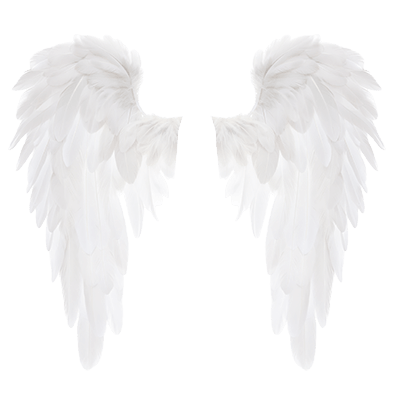 Wings White